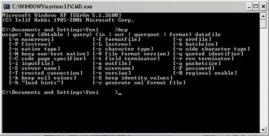 Bcp Query Out _ Sql Bcp Utility – RPCSXE